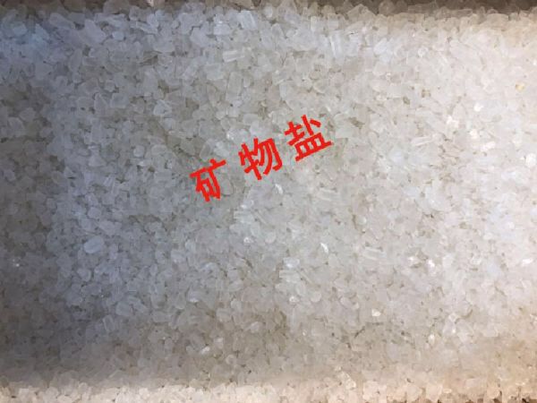 微信图片_20201019144802.jpg