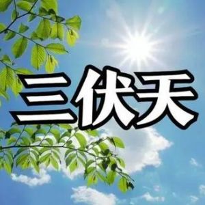 <img src=upfile/images/2024/07/17/small3_17212063684418912.jpg height=150>